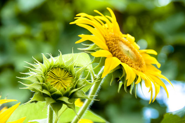 Similar image 213834