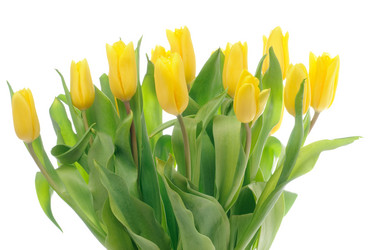 Similar image 213840