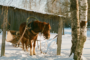 Similar image 213890