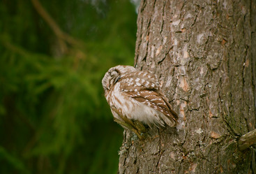 Similar image 213904