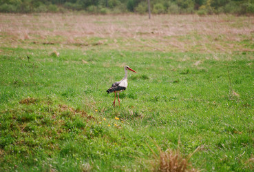 Similar image 213905