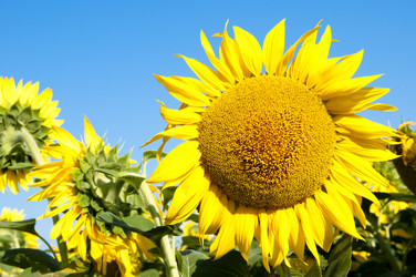 Similar image 213906