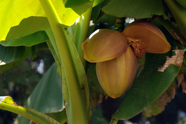 Similar image 213979