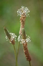 Similar image 213982