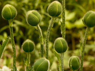 Similar image 213984