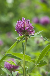 Similar image 213987