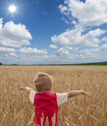 Similar image 214002