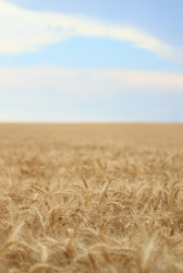 Similar image 214003