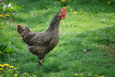 Similar image 214012