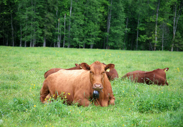 Similar image 214016