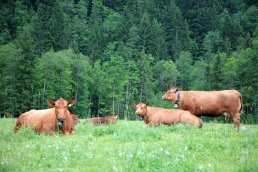 Similar image 214018