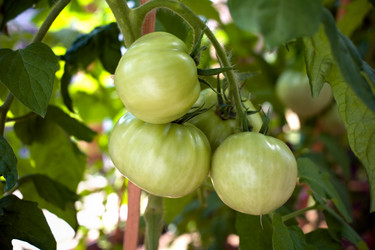 Similar image 214019