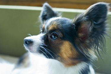 Similar image 214020