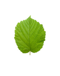 Similar image 214021