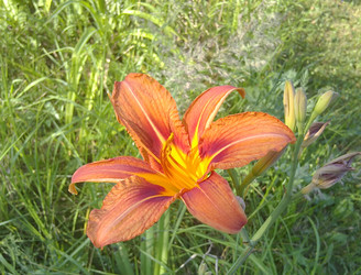 Similar image 214023