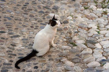 Similar image 214043