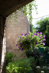 Similar image 214046