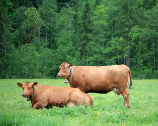 Similar image 214050