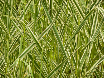 Similar image 214051