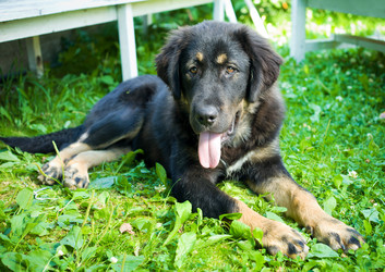 Similar image 214059