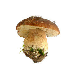 Similar image 214061