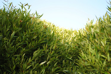 Similar image 214070