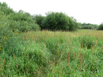 Similar image 214071