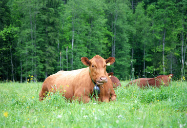 Similar image 214131