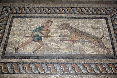 Similar image 214295