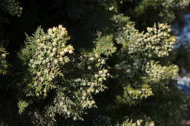 Similar image 214360