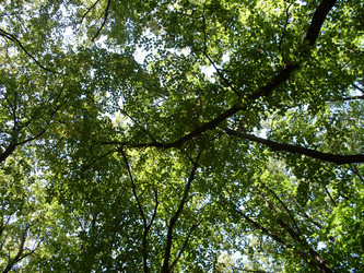 Similar image 214389