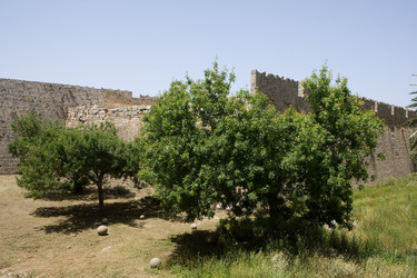 Similar image 214443