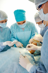 Similar image 214446