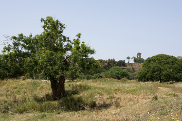 Similar image 214475