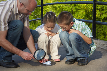 Similar image 214481