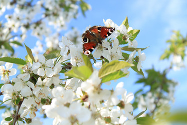 Similar image 214710