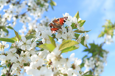 Similar image 214711