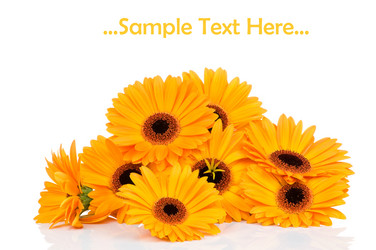 Similar image 214727