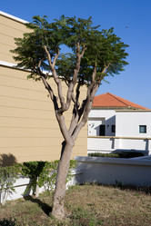 Similar image 214782