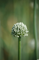 Similar image 214798