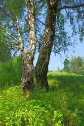 Similar image 214803