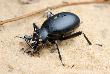 Similar image 214852