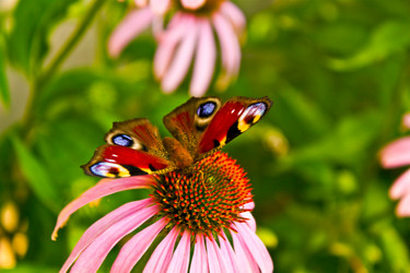 Similar image 214876