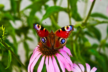 Similar image 214877