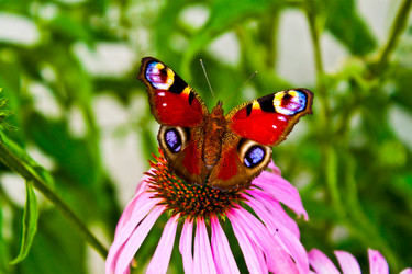 Similar image 214880