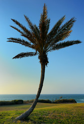 Similar image 214888