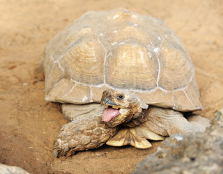 Similar image 214938