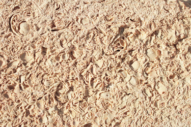 Similar image 214983