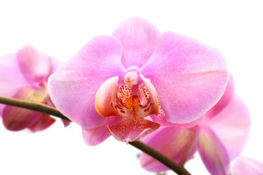 Similar image 215065