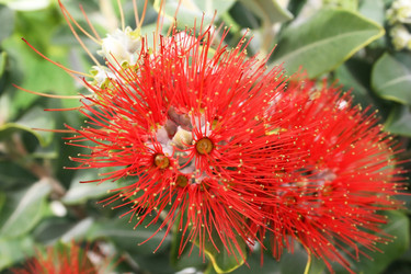 Similar image 215071